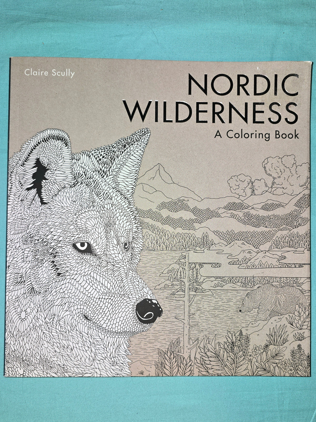 Coloring Book Nordic Wilderness
