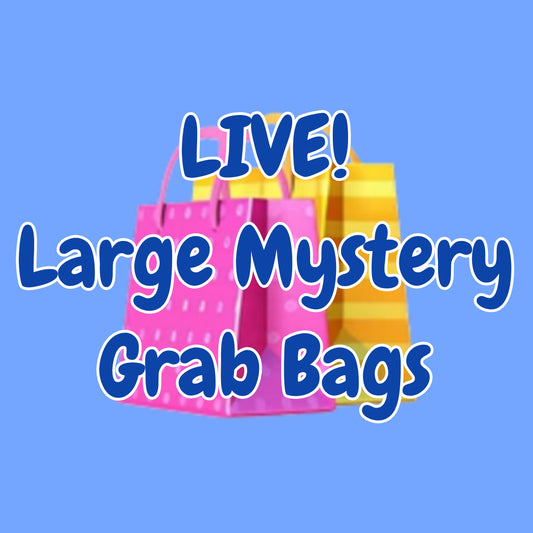 Large Mystery Grab Bags
