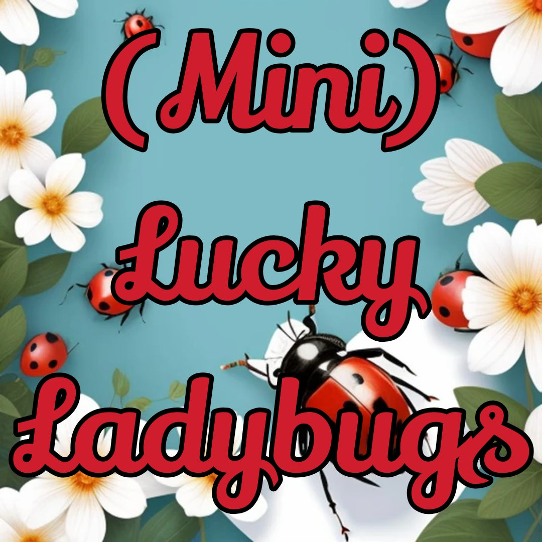 Mini Lucky Ladybugs